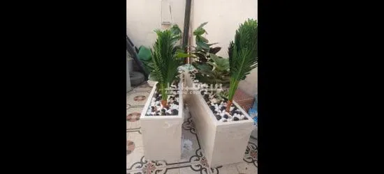 تنسيق حدائق فلل وقصور - 9