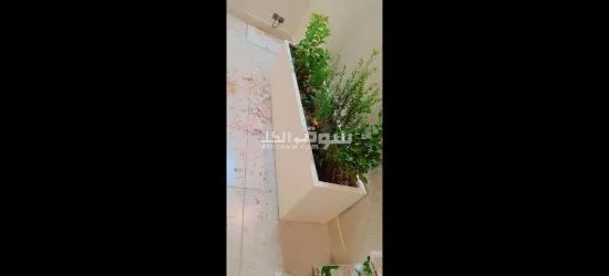 تنسيق حدائق فلل وقصور - 14