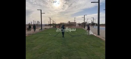 تنسيق حدائق فلل وقصور - 15