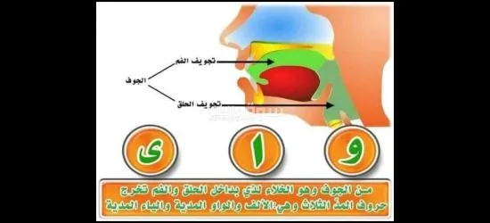 معلم تأسيس وقرآن ونور البيان وتجويد للأطفال وكبار السن لمختلف الأعمار