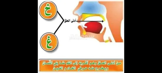 معلم تأسيس وقرآن ونور البيان وتجويد للأطفال وكبار السن لمختلف الأعمار - 4