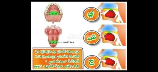 معلم تأسيس وقرآن ونور البيان وتجويد للأطفال وكبار السن لمختلف الأعمار - 6
