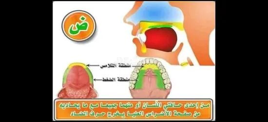 معلم تأسيس وقرآن ونور البيان وتجويد للأطفال وكبار السن لمختلف الأعمار - 7