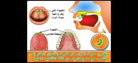 معلم تأسيس وقرآن ونور البيان وتجويد للأطفال وكبار السن لمختلف الأعمار - 8