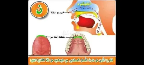 معلم تأسيس وقرآن ونور البيان وتجويد للأطفال وكبار السن لمختلف الأعمار - 9