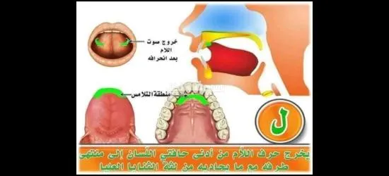 معلم تأسيس وقرآن ونور البيان وتجويد للأطفال وكبار السن لمختلف الأعمار - 10