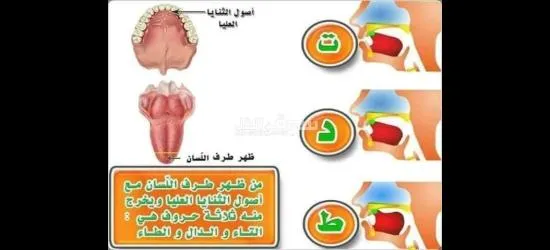 معلم تأسيس وقرآن ونور البيان وتجويد للأطفال وكبار السن لمختلف الأعمار - 11