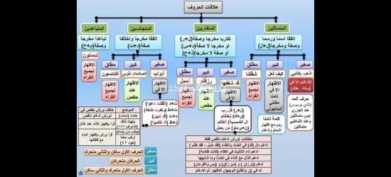 معلم تأسيس وقرآن ونور البيان وتجويد للأطفال وكبار السن لمختلف الأعمار - 16