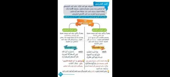 معلم تأسيس وقرآن ونور البيان وتجويد للأطفال وكبار السن لمختلف الأعمار - 18