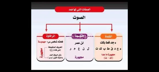 معلم تأسيس وقرآن ونور البيان وتجويد للأطفال وكبار السن لمختلف الأعمار - 20