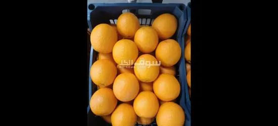 برتقال صيفى