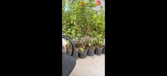 تنسيق حدائق وملاعب فرش وتخطيط - 4