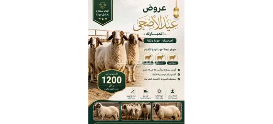 الثقه الأمان الالتزام