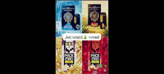 available black and white 🤍 full discount - 7