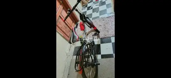 New Brand Cycle