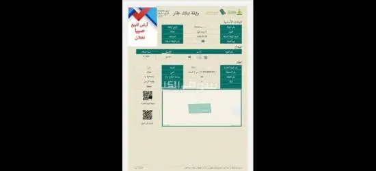 بصبيا نخلان ارض للبيع صبيا - 2