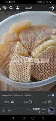 عسل سدر ممتاز على الشرط - 9