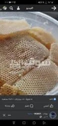 عسل سدر ممتاز على الشرط - 10