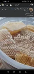 عسل سدر ممتاز على الشرط - 12