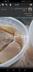 عسل سدر ممتاز على الشرط - 14