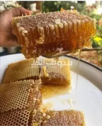 عسل سدر يمني علاج البرد - 2