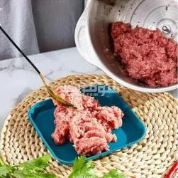 مفرمة اللحوم العملية 300W - 3