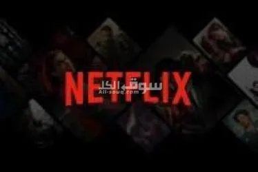 اشتراك نتفلي**** 14 ريال - 2