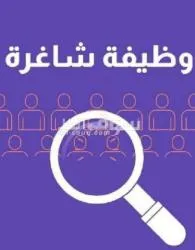 أبحث عن مسوق عقاري