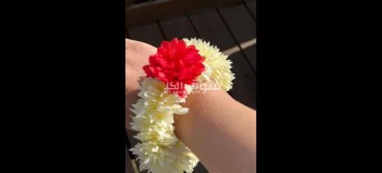 فل جيزاني - 3