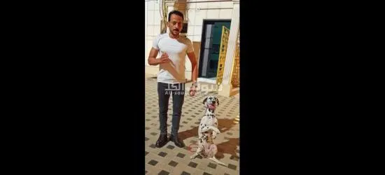 Dr.Tom لتدريب كلاب الحراسة بالرياض