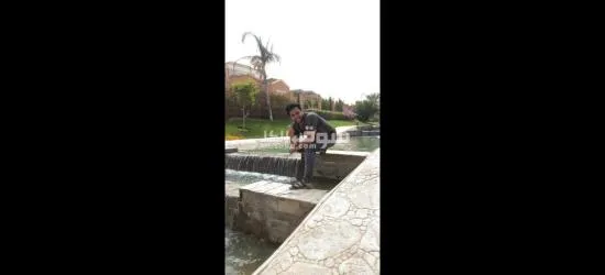 المنصوره - 14