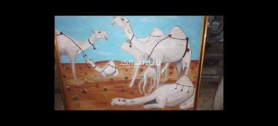 خطاط ورسام - 5