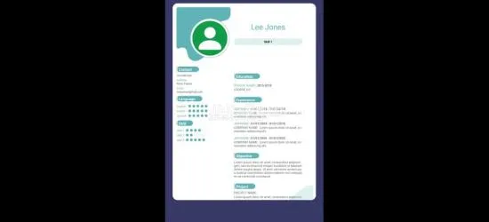سيرة ذاتية احترافية - 3