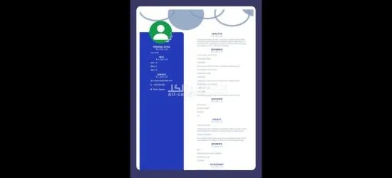 سيرة ذاتية احترافية - 4