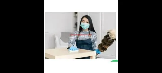 شغالات بالشهر