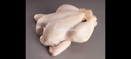 دجاج لحم مبرد للبيع