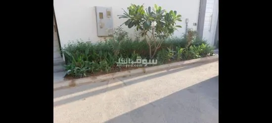تنسيق حدائق وصيانتها - 2