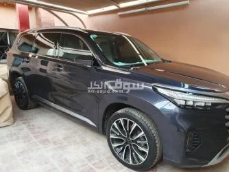 سيارة ا****ييد الفاخرة VX فلاق شيب - 19