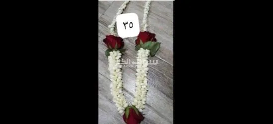 الفل الجيزاني جده حي الصفا - 2