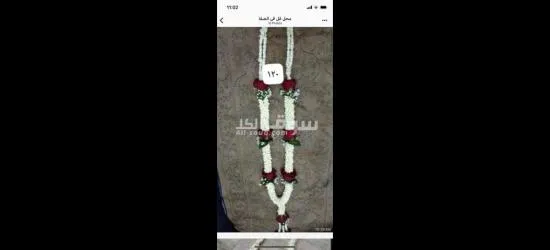 الفل الجيزاني جده حي الصفا - 4