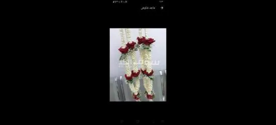 الفل الجيزاني جده حي الصفا - 6