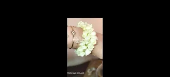 الفل الجيزاني جده حي الصفا - 11