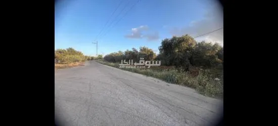 اخواننا بالسعودية المهتمين بالاستثمار بالاردن - 2