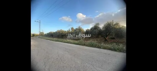 اخواننا بالسعودية المهتمين بالاستثمار بالاردن - 4