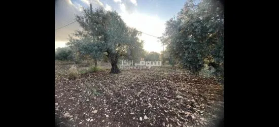 اخواننا بالسعودية المهتمين بالاستثمار بالاردن - 5