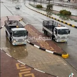 دينا نقل عفش حي العزيزيه 0537925327