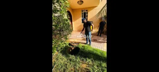 شركة مكافحة حشرات ورش مبيدات بالرياض مع الضمان وعقود سنوية