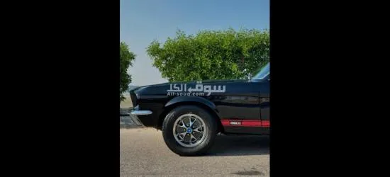 رنية - 19