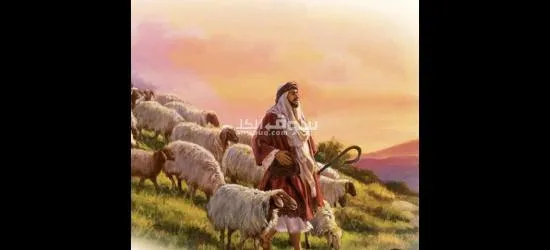 راعي غنم با****تاني