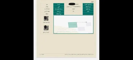 للبيع صبيا نخلان بصك ارض - 4